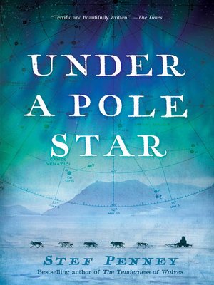 cover image of Under a Pole Star